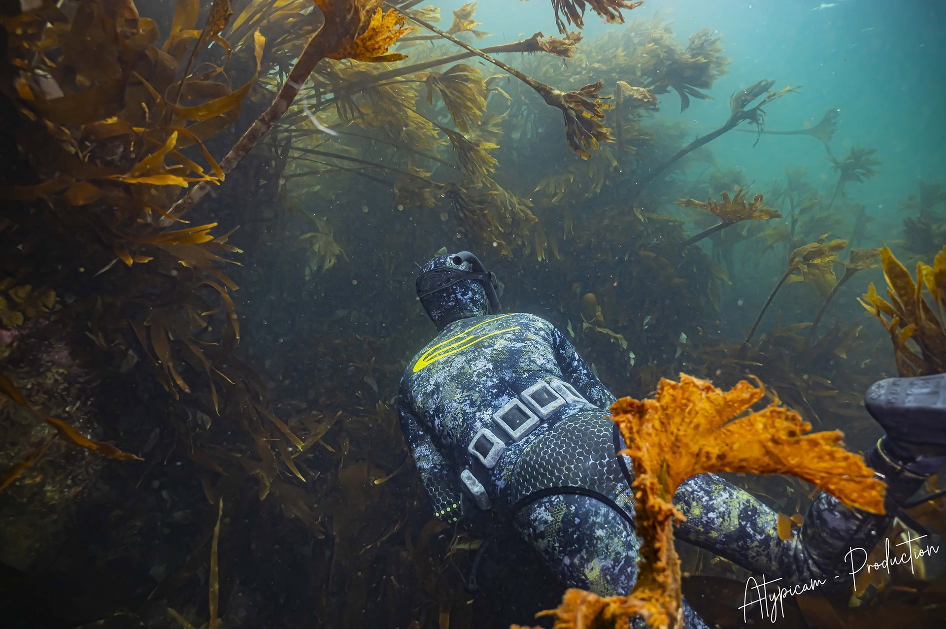 Prise de vue sous-marine d'une hélice de voilier - Expertise maritime